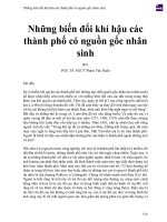 Những biến đổi khí hậu các thành phố có nguồn gốc nhân sinh 
