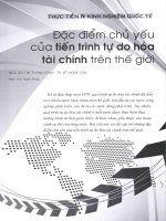Đặc điểm chủ yếu của tiến trình tự do hóa tài chính trên thế giới 
