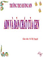 Bài giảng sinh học 9 tham khảo ADN và bản chất của gen (17) 