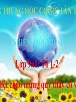 Bài giảng sinh học 9 bài ô nhiễm môi trường (2) 