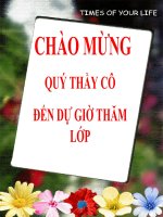 Bài giảng vật lý 9 sử dụng ân toàn và tiết kiệm điện (2) 