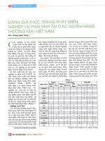Đánh giá thực trạng phát triển nghiệp vụ phái sinh tại các ngân hàng thương mại việt nam 