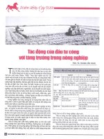 Tác động của đầu tư công với tăng trưởng trong nông nghiệp 