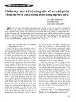 Chiến lược sinh kế hộ nông dân và cơ chế phân tầng xã hội ở vùng nông thôn công nghiệp hóa 