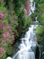 Giáo án bồi dưỡng ngữ văn lớp 6 bài học đường đời đầu tiên (1) 