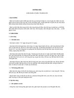 HƯỚNG DẪN CHẨN ĐOÁN VÀ ĐIỀU TRỊ BỆNH SỞI