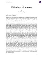 Phân loại nấm men 