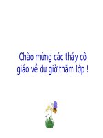 Bài giảng sinh học 9 tham khảo ADN và bản chất của gen (15) 
