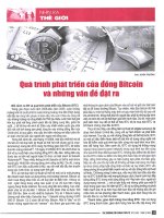 Quá trình phát triển của đồng bitcoin và những vấn đề đặt ra 