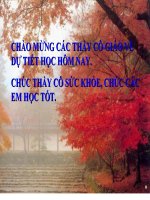 Bài giảng vật lý 9 sử dụng ân toàn và tiết kiệm điện (4) 