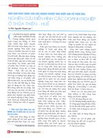 Hiệu quả hoạt động của các doanh nghiệp nhà nước sau cổ phần hóa nghiên cứu điển hình các doanh nghiệp ở thừa thiên   huế 