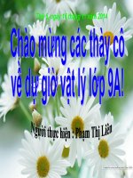Bài giảng vật lý 9 nam châm vĩnh cửu tham khảo  (8) 