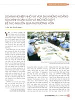 Doanh nghiệp nhỏ và vừa sau khủng hoảng tài chính toàn cầu và một số gợi ý để tạo nguồn qua thị trường vốn 