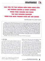 Các yếu tố tác động đến hiệu quả của hệ thống quản lý chất lượng theo tiêu chuẩn ISO 9000 tại các doanh nghiệp trên địa bàn thành phố hồ chí minh 