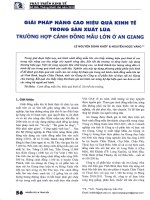 Giải pháp nâng cao hiệu quả kinh tế trong sản xuất lúa trường hợp cánh đồng mẫu lớn ở an giang 