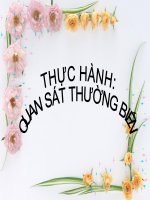 Bài giảng sinh học 9 thực hành quan sát thường biến (6) 