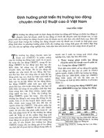 Định hướng phát triển thị trường lao động chuyên môn kỹ thuật cao ở việt nam 