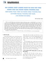 Đo lường chất lượng dịch vụ cho vay tiêu dùng của các ngân hàng thương mại   vận dụng thực tiễn tại ngân hàng thương mại cổ phần ngoại thương việt nam, chi nhánh đà nẵng 