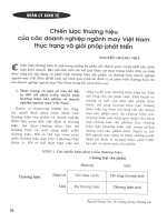 Chiến lược thương hiệu các doanh nghiệp ngành may việt nam thực trạng và giải pháp phát triển 