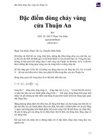 Đặc điểm dòng chảy vùng cửa thuận an 