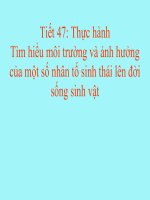 Bài giảng sinh học 9 tham khảo thực hành tìm hiểu môi trường và ảnh hưởng của một số nhân tố sinh thái (18) 