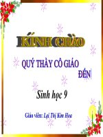 Bài giảng sinh học 9 thực hành quan sát thường biến (27) 
