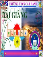 Bài giảng vật lý 8 thực hành nghiệm lại lực đẩy acsimet (24) 