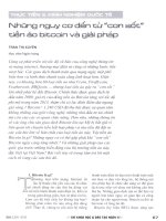 Những nguy cơ đến từ cơn sốt tiền ảo bitcoin và giải pháp 