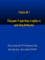 Chương 1 Tổng quan nghiệp vụ ngân hàng thương mại