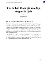 Các tế bào tham gia vào đáp ứng miễn dịch 