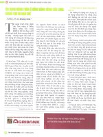 Tín dụng nông thôn ở đồng bằng sông cửu long thành tựu và hạn chế 