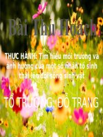 Bài giảng sinh học 9 tham khảo thực hành tìm hiểu môi trường và ảnh hưởng của một số nhân tố sinh thái (3) 