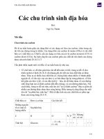 Các chu trình sinh địa hóa 