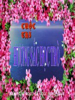 Thi sắc hoa học trò