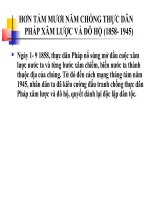  bình tây đại nguyên soái  trương định 