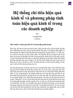 Hệ thống chỉ tiêu hiệu quả kinh tế và phương pháp tính toán hiệu quả kinh tế trong các doanh nghiệp 