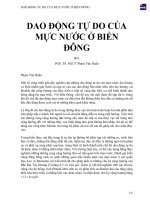 DAO ĐỘNG tự DO của mực nước ở BIỂN ĐÔNG 