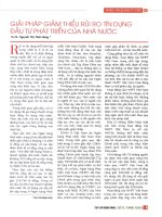 Giải pháp giảm thiểu rủi ro tín dụng đầu tư phát triển của nhà nước 