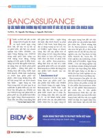 Bancassurance tại các ngân hàng thương mại việt nam nhìn từ góc độ sự hài lòng của khách hàng 