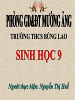 Bài giảng sinh học 9 bài ô nhiễm môi trường (12) 