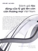 Đánh giá tác động của tỷ giá lên cán cân thương mại việt nam 