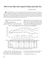 Đầu tư trực tiếp nước ngoài ở thành phố cần thơ 