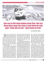 Cho vay ưu đãi nông nghiệp nông thôn khu vực đồng bằng sông cửu long có bảo hiểm lãi suất giúp nông dân an tâm   ngân hàng an toàn 