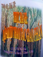 Bài giảng sinh học 9 thực hành tập dượt thao tác giao phấn (8) 