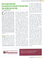 Vốn tín dụng ngân hàng cho chuyển dịch cơ cấu kinh tế tỉnh bình phước tăng trưởng cao và an toàn 