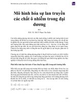 Mô hình hóa sự lan truyền các chất ô nhiễm trong đại dương 