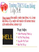 Bài giảng sinh học 9 tham khảo thực hành tìm hiểu môi trường và ảnh hưởng của một số nhân tố sinh thái (4) 