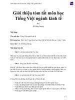 Giới thiệu tóm tắt môn học tiếng việt ngành kinh tế 