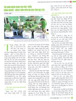 Tín dụng ngân hàng cho phát triển nông nghiệp   nông thôn trên địa bàn tỉnh bạc liêu 