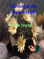 Bài giảng vật lý 9 nam châm vĩnh cửu tham khảo  (6) 